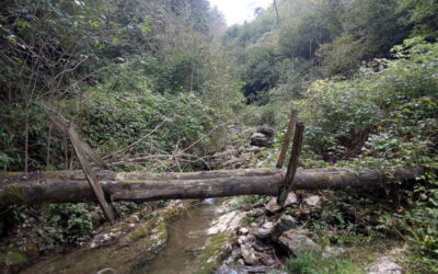 PERLUSTRAZIONI IN CARGADURA E MONTE PENDOLA 27-09-2020