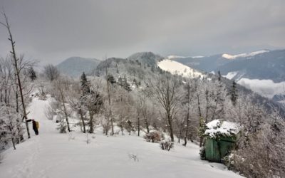 VERIFICA CIRCOLAZIONE ARIE E PROSECUZIONE DISOSTRUZIONE  GROTTA  PRECARIO 13-02-2021