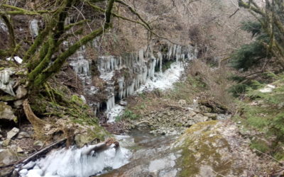 GLI INGRESSI A MONTE DI NUEVA VIDA. RITORNO A “INTERSTRATO” E “GIUNTA CHINTE” 18-02-2021